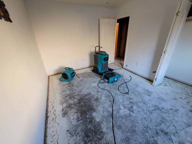 Best Water damage restoration process  in Eddington, PA