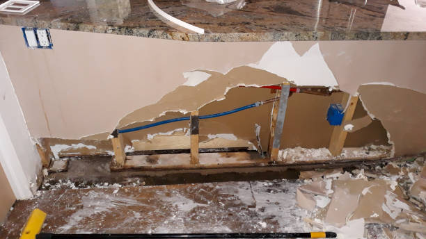 Best Basement water damage restoration  in Eddington, PA